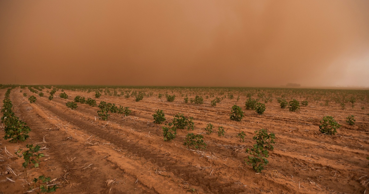 Climate change has sent temperatures soaring in Texas The Texas Tribune